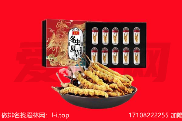 谯城区回收虫草.jpg